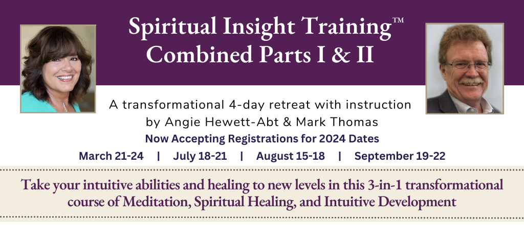 Spiritual Insight Training 2024
