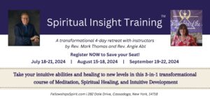 Spiritual Insight Training